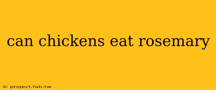 can chickens eat rosemary