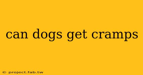 can dogs get cramps