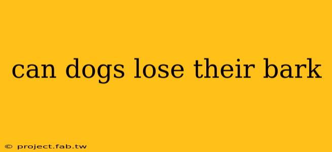 can dogs lose their bark