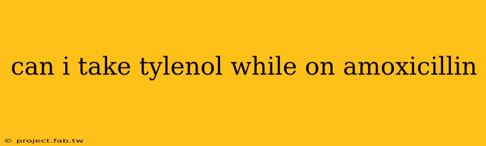 can i take tylenol while on amoxicillin