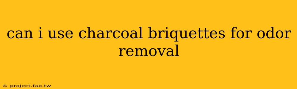 can i use charcoal briquettes for odor removal