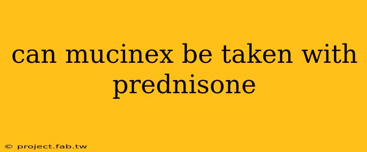 can mucinex be taken with prednisone