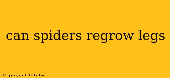 can spiders regrow legs