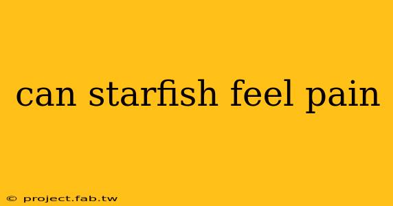 can starfish feel pain