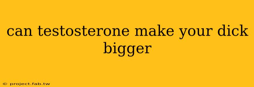 can testosterone make your dick bigger