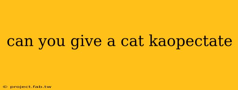 can you give a cat kaopectate