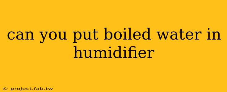 can you put boiled water in humidifier