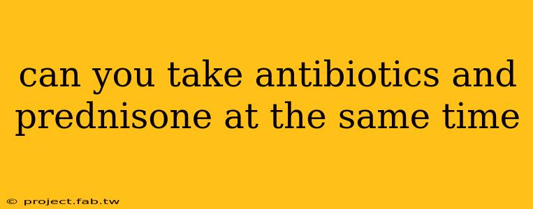 can you take antibiotics and prednisone at the same time