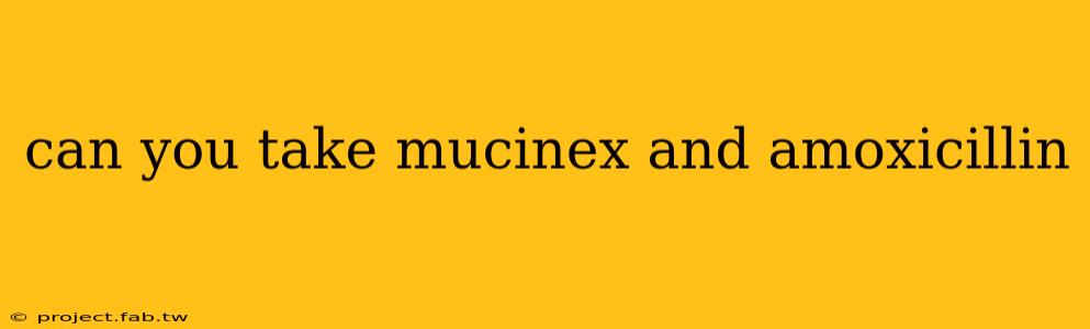 can you take mucinex and amoxicillin