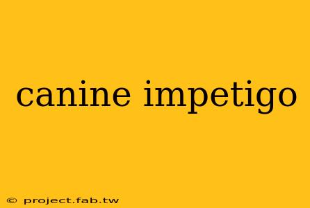 canine impetigo