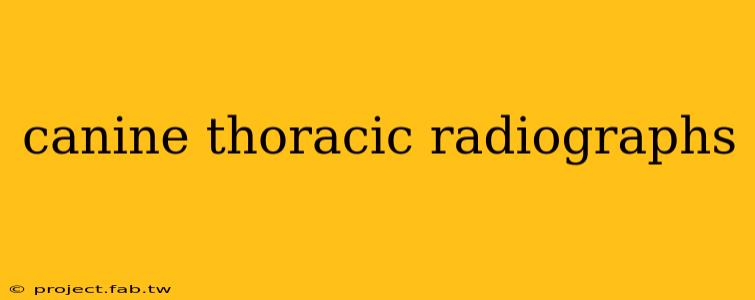 canine thoracic radiographs