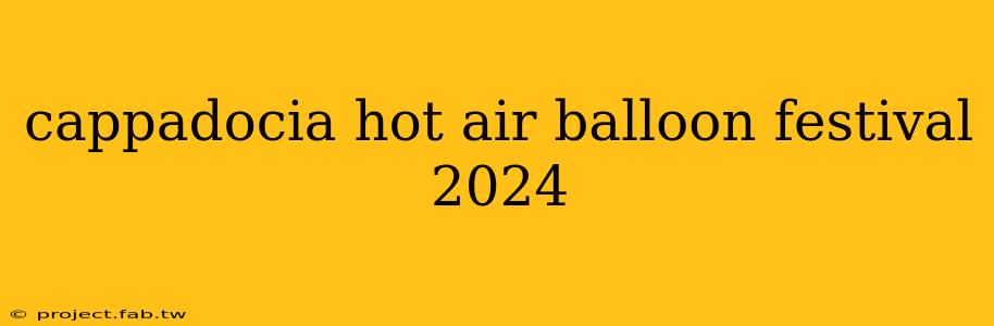 cappadocia hot air balloon festival 2024