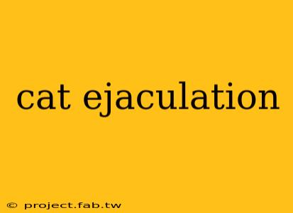 cat ejaculation