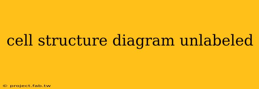 cell structure diagram unlabeled