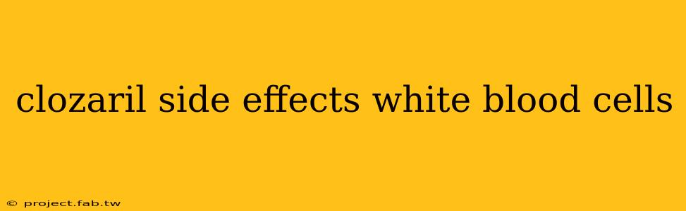 clozaril side effects white blood cells