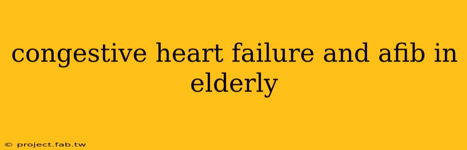 congestive heart failure and afib in elderly