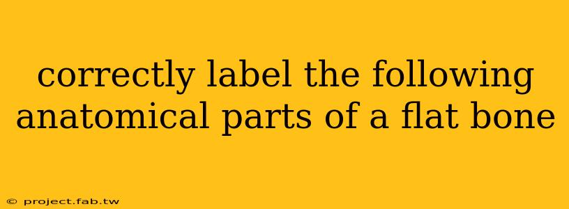 correctly label the following anatomical parts of a flat bone