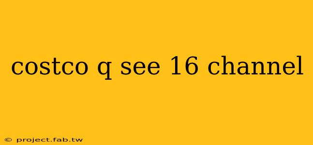 costco q see 16 channel