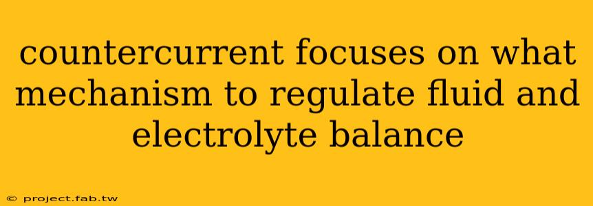 countercurrent focuses on what mechanism to regulate fluid and electrolyte balance