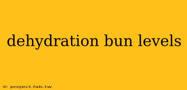 dehydration bun levels