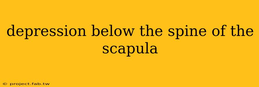 depression below the spine of the scapula