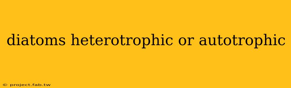 diatoms heterotrophic or autotrophic