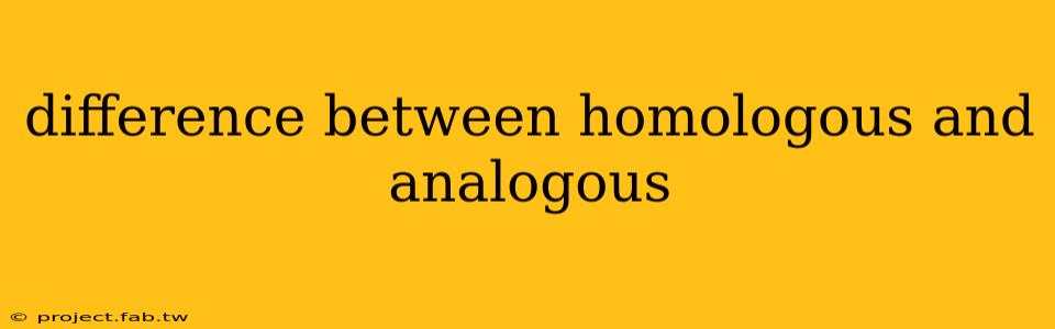 difference between homologous and analogous