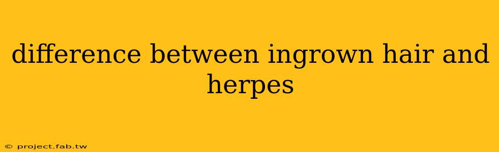 difference between ingrown hair and herpes