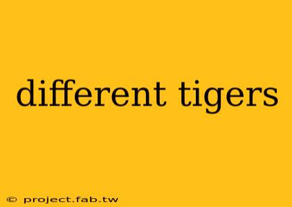 different tigers