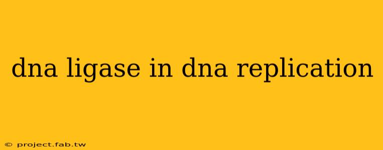 dna ligase in dna replication