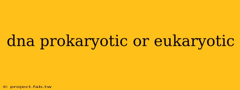 dna prokaryotic or eukaryotic