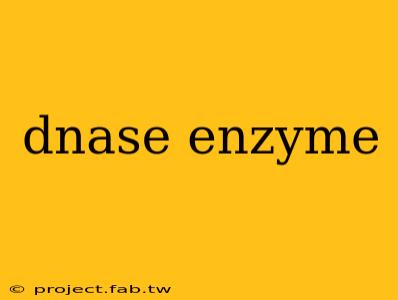 dnase enzyme