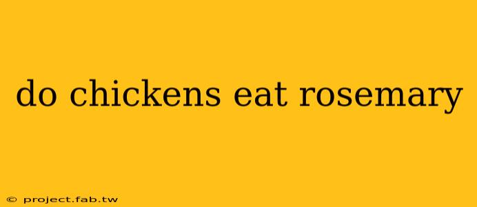 do chickens eat rosemary