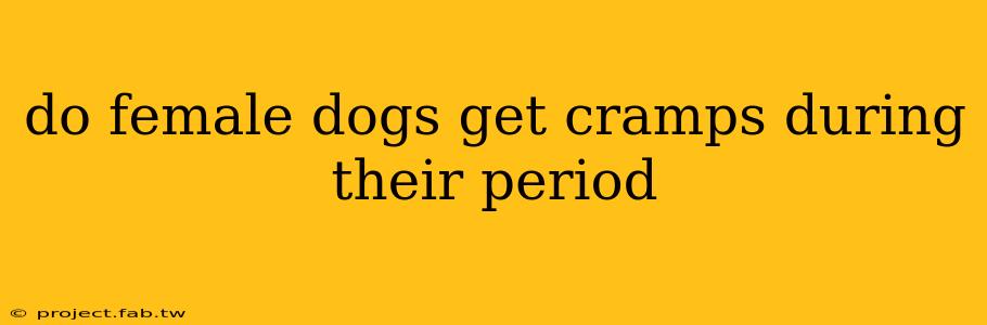 do female dogs get cramps during their period