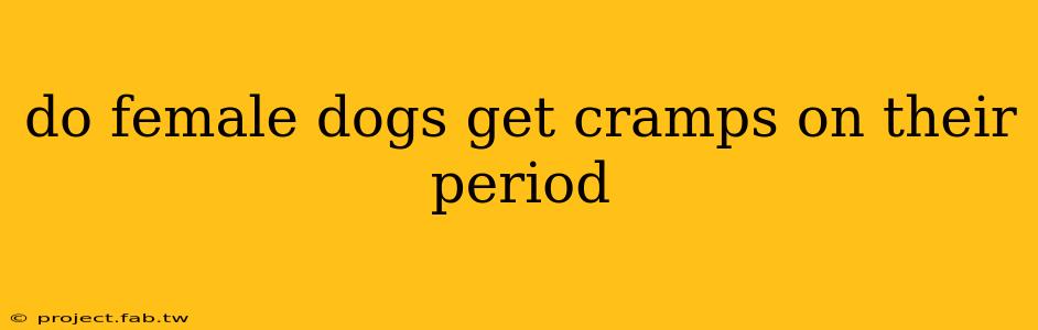 do female dogs get cramps on their period