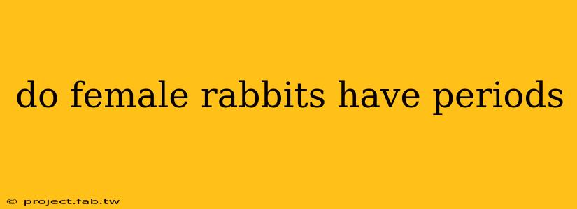 do female rabbits have periods