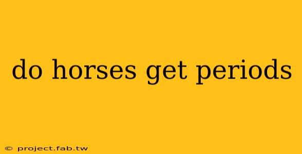 do horses get periods