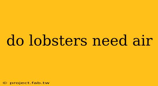 do lobsters need air