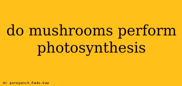 do mushrooms perform photosynthesis