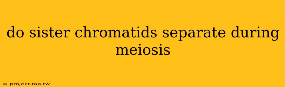 do sister chromatids separate during meiosis