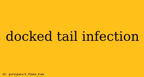 docked tail infection