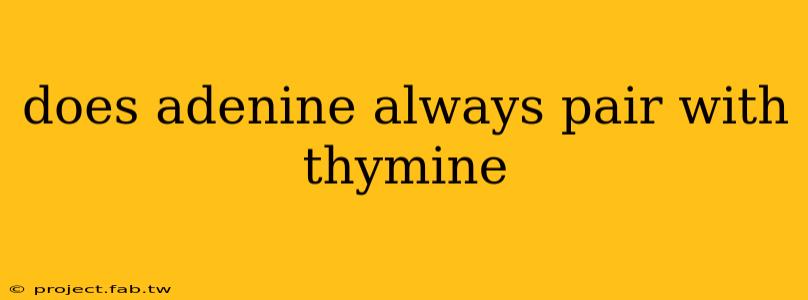 does adenine always pair with thymine