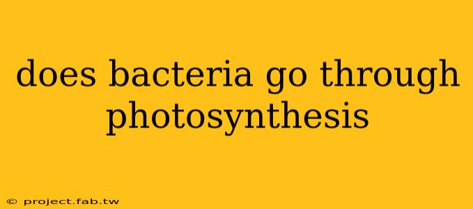 does bacteria go through photosynthesis