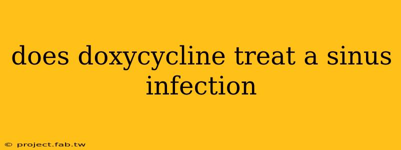 does doxycycline treat a sinus infection