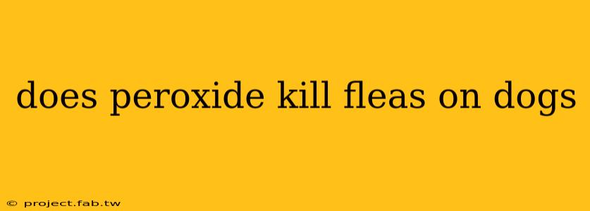 does peroxide kill fleas on dogs