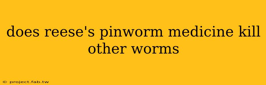 does reese's pinworm medicine kill other worms