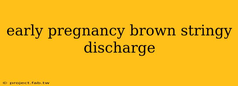 early pregnancy brown stringy discharge