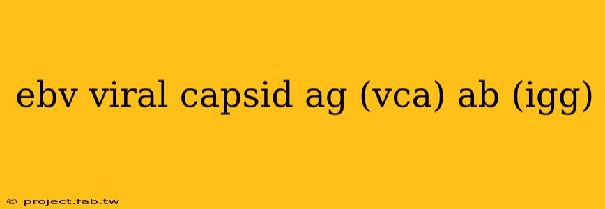 ebv viral capsid ag (vca) ab (igg)