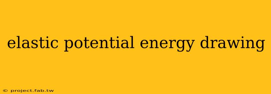 elastic potential energy drawing