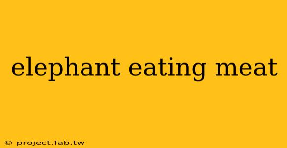 elephant eating meat